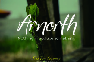 Arnorhth Font: A Cool & Fun Display Typeface for Handmade Creators