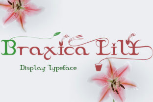Braxica Lily Display Font for Elegant Digital Branding